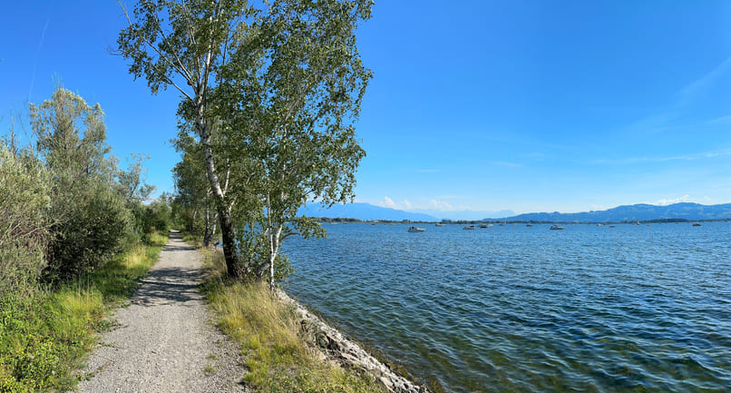 Wandern am Bodensee: Deine Routen für Ausflüge zum See